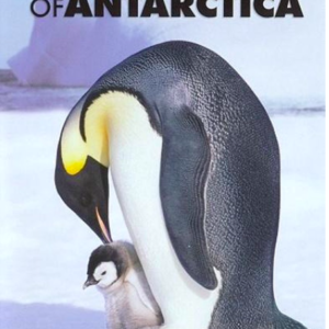 Emperors of Antartica