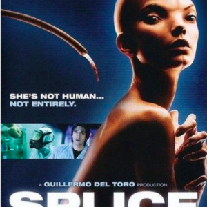 Splice