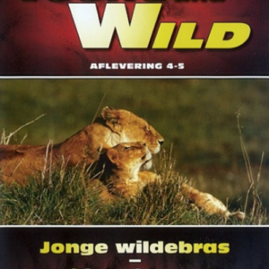 Young & Wild - Wildebras/Veiligheid op de eerste plaats