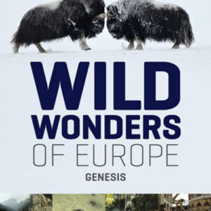 Wild wonders of Europe