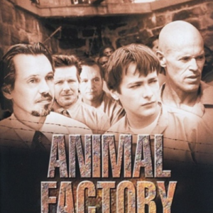 Animal factory