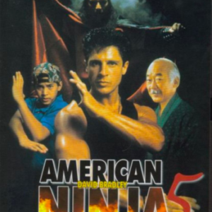 American Ninja 5