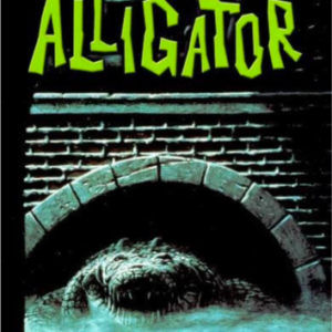 Alligator