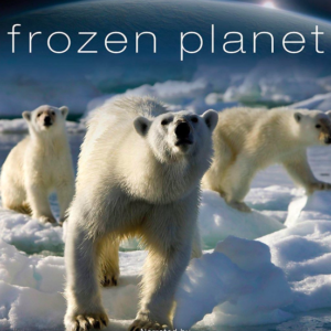 Frozen planet (ingesealed)