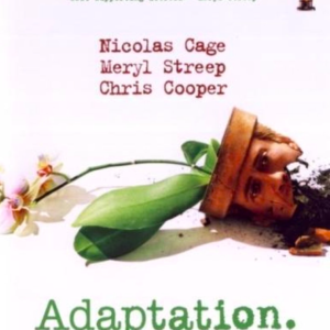 Adaption