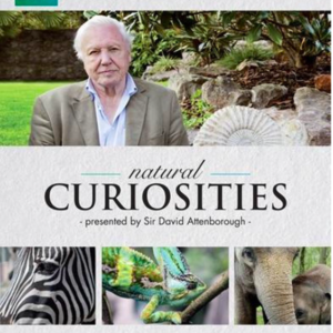 Natural curiosities seizoen 1 (blu-ray)