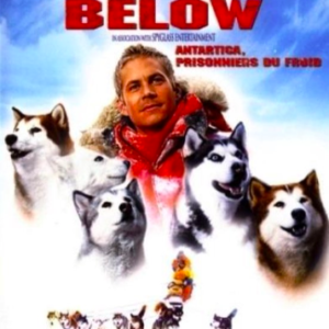 Eight below