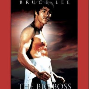 Bruce Lee: The big boss