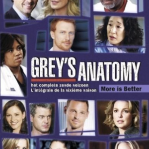 Grey's anatomy (seizoen 6)