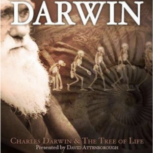 Darwin box