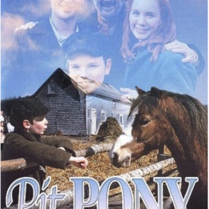 Pit Pony