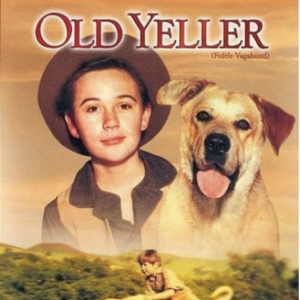 Old yeller