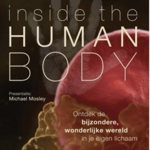 Inside the human body