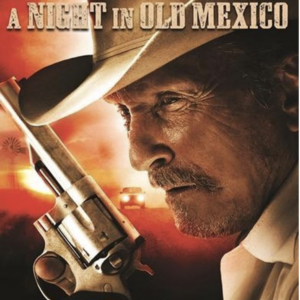 A night in old Mexico