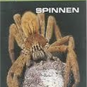 Spinnen