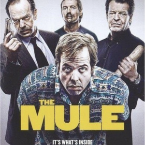 The mule