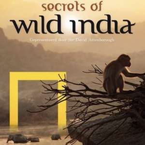 Secrets of wild India (ingesealed)