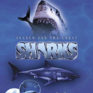 Search for the great sharks (ingesealed)