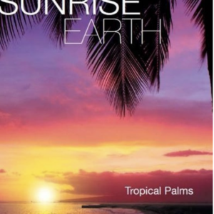 Sunrise earth: Tropical palms