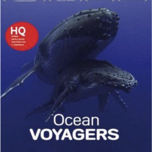 Ocean voyagers