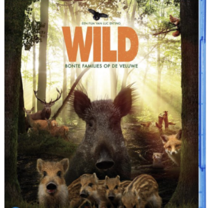 Wild (blu-ray)