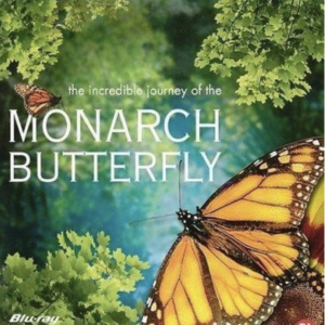 Monarch butterfly (3D blu-ray)