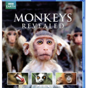 Monkeys revealed (blu-ray)