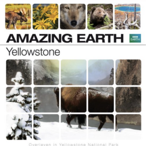 BBC Earth: Yellowstone (blu-ray)