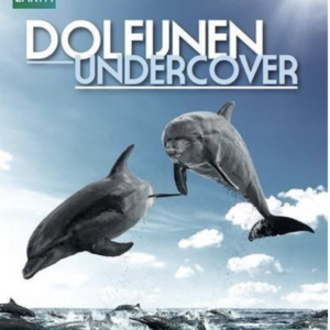 Dolfijnen undercover (blu-ray)