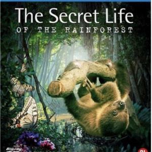 The secret life of the Rainforest (3D blu-ray)