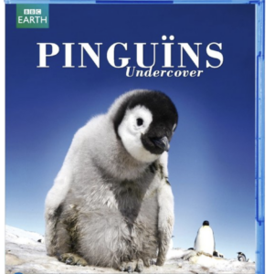 Pinguïns undercover (blu-ray)