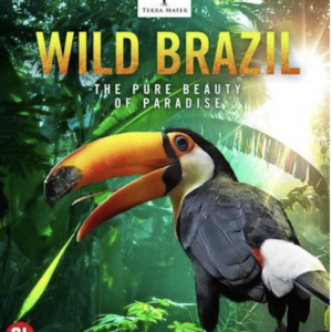 Undiscovered Brazil (blu-ray)