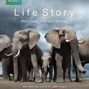 Life story (blu-ray)