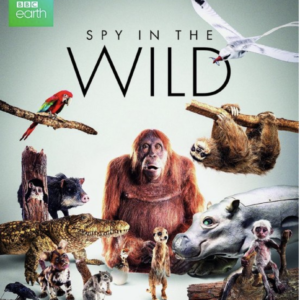 Spy in the wild (blu-ray)