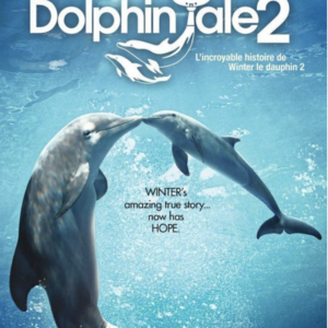 Dolphin tale 2