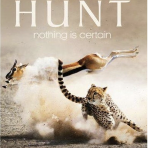 The hunt