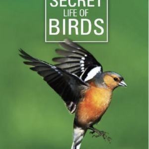 The secret of birds (ingesealed)