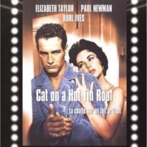 Cat on a hot tin roof